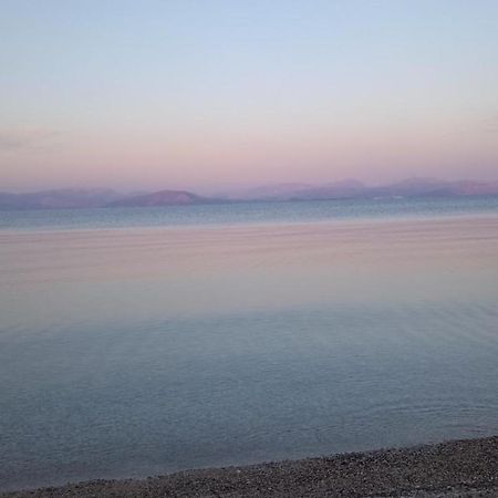 Lithino Apartments - 5Min From The Beach Agios Ioannis Peristerion Exterior foto