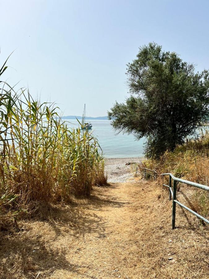 Lithino Apartments - 5Min From The Beach Agios Ioannis Peristerion Exterior foto
