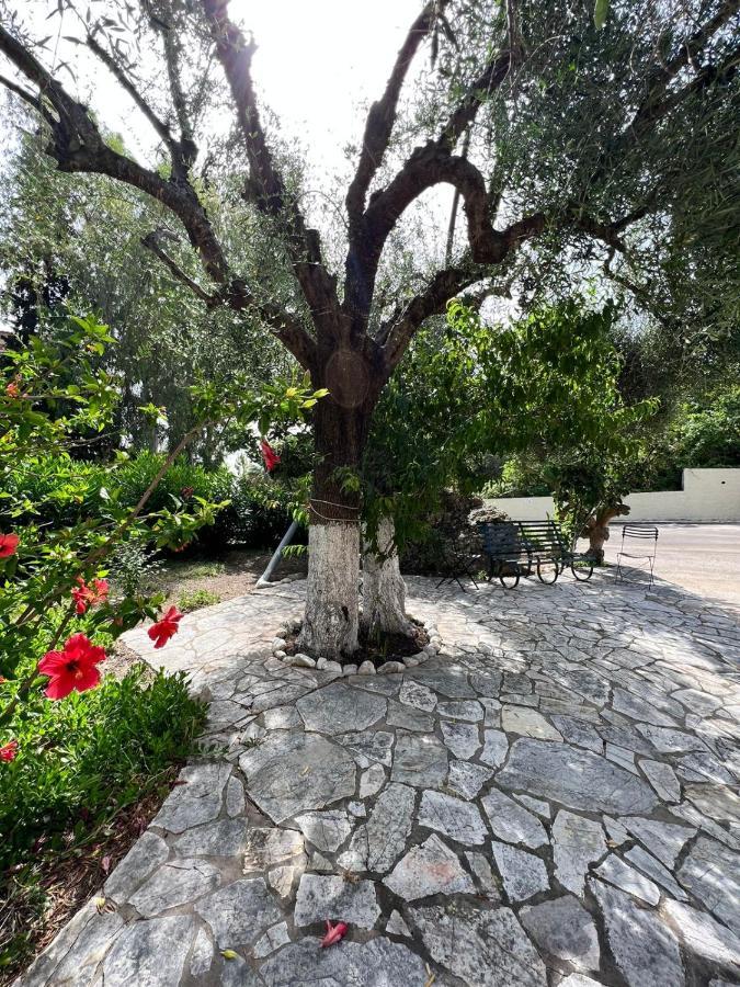 Lithino Apartments - 5Min From The Beach Agios Ioannis Peristerion Exterior foto