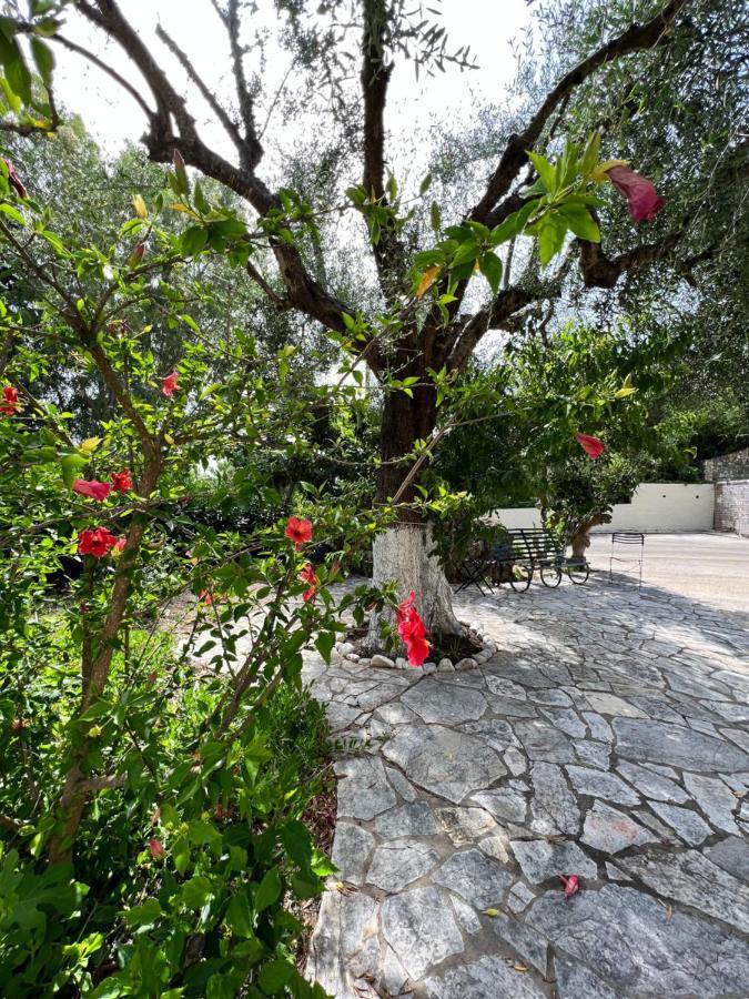 Lithino Apartments - 5Min From The Beach Agios Ioannis Peristerion Exterior foto